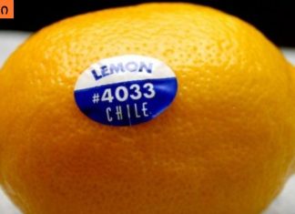 აი რატომ არ უნდა იყიდოთ პროდუქტი, რომლის სტიკერის პირველი ციფრი არის 8 ! ყუღადღებით წაიკითხეთ.