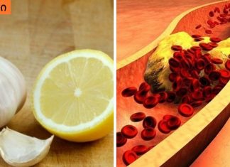 ამ გერმანული მეთოდის დახმარებით შეიმცირებთ ქოლესტერინს და აიმაღლებთ იმუნიტეტს!