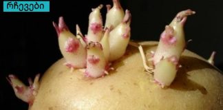 ამის შესახებ ბევრმა არ იცის,სახსრების აღდგენის უნიკალური რეცეპტი.