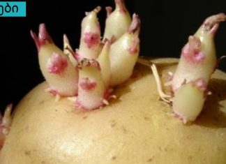 ამის შესახებ ბევრმა არ იცის,სახსრების აღდგენის უნიკალური რეცეპტი.