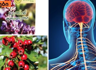 რა არის ვაგოტონია და როგორ ვუმკურნალოთ მას (ნერვული სისტემის დაზიანება: მიზეზები,სიმპტომები და მკურნალობა)