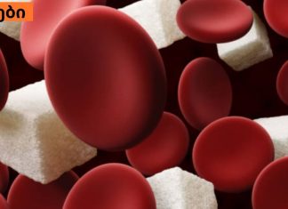 როგორ შევამციროთ ორგანიზმში შაქრის დოზა? ეს რჩევები მარტივად გახდომაში დაგეხმარებათ !