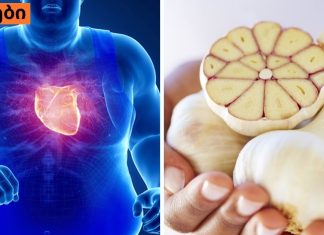 გსმენიათ, რომ ნიორი კარგია გულისთვის? აი, რა უნდა იცოდეთ ამის შესახებ