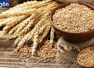 ამონაყარი ხორბალი კურნავს მთელ სხეულს