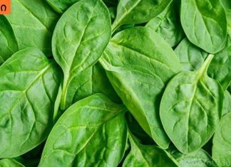 ამ მცენარეს “ღვთის საჩუქარს” უწოდებენ, რადგან მას შეუძლია დაგეხმაროთ 100-ზე მეტი დაავადების განკურნებაში!