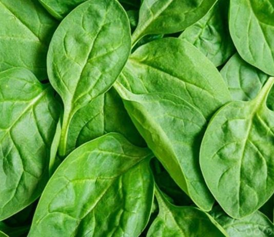 ამ მცენარეს “ღვთის საჩუქარს” უწოდებენ, რადგან მას შეუძლია დაგეხმაროთ 100-ზე მეტი დაავადების განკურნებაში!