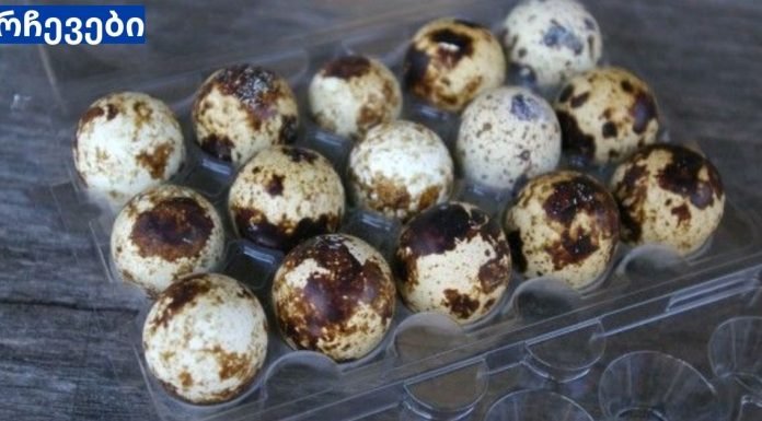 მწყერის კვერცხები თქვენი ჯანმრთელობისთვის. ესეთი სასარგებლო პროდუქტი არ მინახავს.ბავშვის ასაკიდან დაწყებული – ხანდაზმულით დამთავრებული.