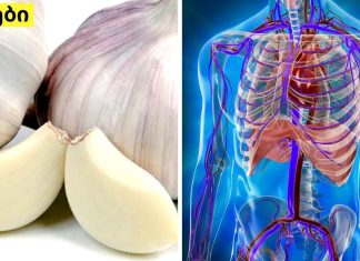 ნიორი ჩაიდეთ პირში და გააჩერეთ 30 წუთის განმავლობაში. შედეგები წარმოუდგენელია!