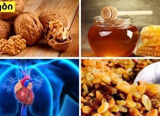 გულს შეიძლება ვუწოდოთ ჩვენი სხეულის “ძრავა”. ის ჩვენზე დაუღალავად მუშაობს და თუ არ გვინდა, რომ გულმა „ხტუნვა“ დაიწყოს, რეგულარულად უნდა გავაძლიეროთ და ვიკვებოთ.