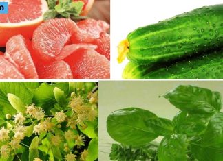 რომლის შესახებ არ გსმენიათ,8 ტუტე საკვები, რომელიც ორგანიზმიდან შლის ტოქსიკურ მჟავებს