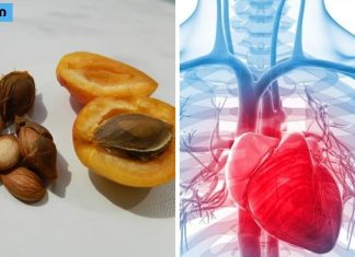 გარგარის მარცვალი გულის, ფეხების და ბრონქების სამკურნალო საშუალებაა. რას მკურნალობს გარგარის მარცვლები?