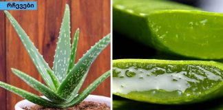 ალოე ვერას სარგებელი დაავადებების მკურნალობაში