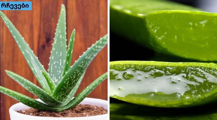 ალოე ვერას სარგებელი დაავადებების მკურნალობაში