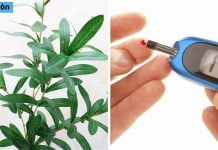 დიაბეტის სამკურნალო მცენარეული გზები