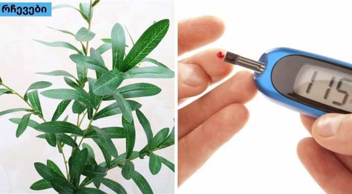 დიაბეტის სამკურნალო მცენარეული გზები