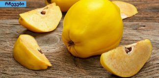 კომშის სარგებელი ჯანმრთელობისთვის. უამრავი დაავადების “წამალი”