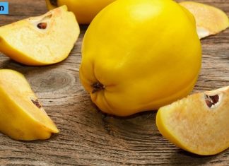 კომშის სარგებელი ჯანმრთელობისთვის. უამრავი დაავადების “წამალი”