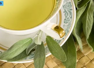 ყელის ტკივილი, ოფლიანობა.აღმოაჩინეთ სალბის ჩაის სასარგებლო თვისებები