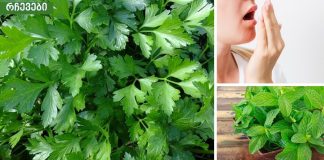 პირის ღრუს (ცუდი) სუნის მკურნალობა.