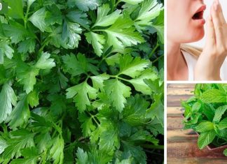 პირის ღრუს (ცუდი) სუნის მკურნალობა.