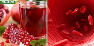 10 საუკეთესო საკვები სუფთა არტერიებისთვის,რაც ამ საკვების მიღება დავიწყე ბევრად კარგად ვგრძნობ თავს.