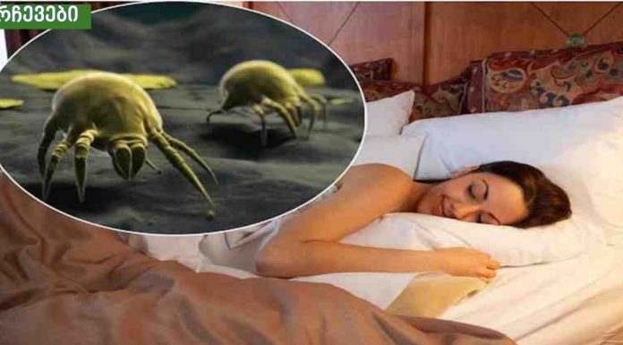 როგორ მოვაშოროთ მტვრის პარაზიტები, რომლებიც ყველას სახლში ბინადრობენ.მეც ამ მეთოდით მოვაშორე პარაზიტები.