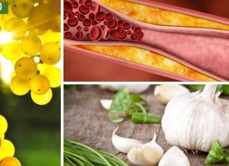 ჯანსაღი საკვები, რომელიც იცავს ქოლესტერინს და ათეროსკლეროზს