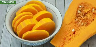 შეიტყვეთ გოგრის კვების სასარგებლო თვისებების შესახებ