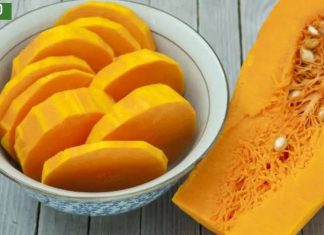 შეიტყვეთ გოგრის კვების სასარგებლო თვისებების შესახებ