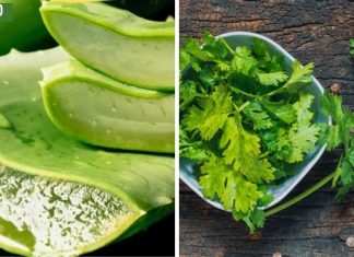 მეთოდი,როიმელიც ქალების განუყოფელი მეთოდია,6 გზა კოლაგენის დონის ბუნებრივად ასამაღლებლად.