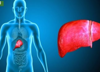 ტკივილი ღვიძლში: შესაძლო მიზეზები და მკურნალობა