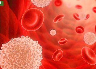 როგორ შევამციროთ ორგანიზმში შაქრის დოზა? ეს რჩევები მარტივად გახდომაში დაგეხმარებათ !