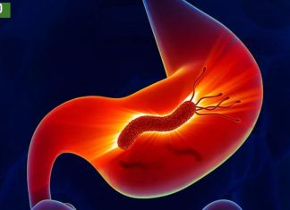 კუჭის მიკრობების სიმპტომები.მუცლის ტკივილი,პირიდან ცუდი სუნი,წონის დაკლკება,დაღლილობა.აუცილებლად გაითვალისწინეთ.