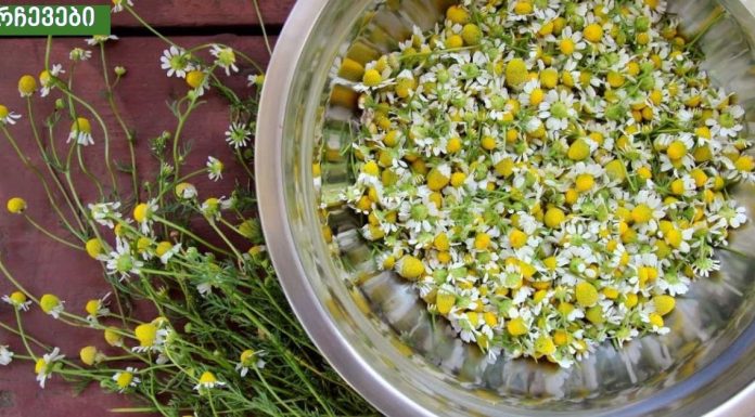 გვირილის სარგებელი ჯანმრთელობისთვის