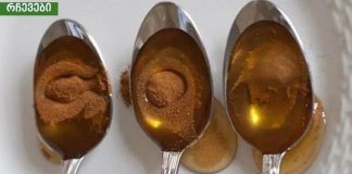 დარიჩინისა და თაფლის კომბინაცია სასწაულებს ახდენს ჩვენს ორგანიზმში!ადამიანებს იხსნის უეცარი სიკვდილისგან.