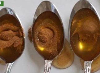 დარიჩინისა და თაფლის კომბინაცია სასწაულებს ახდენს ჩვენს ორგანიზმში!ადამიანებს იხსნის უეცარი სიკვდილისგან.