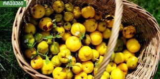 ამ საოცარი პროდუქტით გაიუმჯობესებთ ჯანმრთელობას და თავიდან აიცილებ უამრავ ვერაგ დაავადფებას.