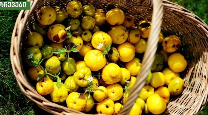 ამ საოცარი პროდუქტით გაიუმჯობესებთ ჯანმრთელობას და თავიდან აიცილებ უამრავ ვერაგ დაავადფებას.