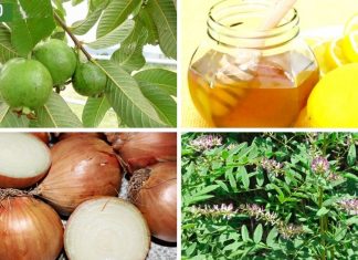 რესპირატორული დაავადებები (გაციება, გრიპი , ბრონქიტი, პნევმონია , ასთმა, ხველა და ბუნებრივი მკურნალობა თითოეულისთვის