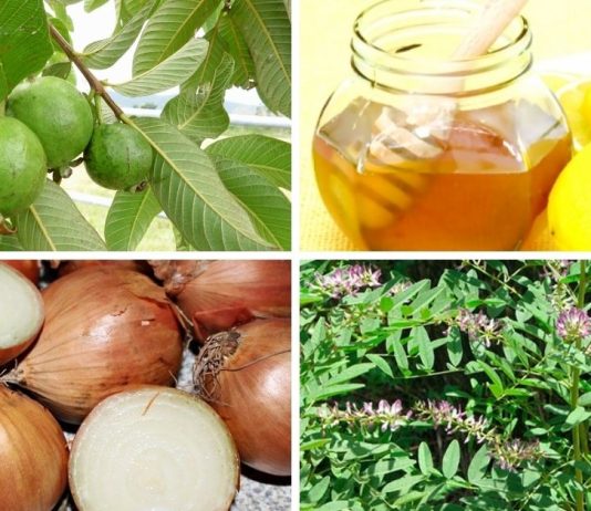 რესპირატორული დაავადებები (გაციება, გრიპი , ბრონქიტი, პნევმონია , ასთმა, ხველა და ბუნებრივი მკურნალობა თითოეულისთვის