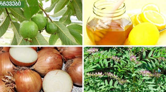 რესპირატორული დაავადებები (გაციება, გრიპი , ბრონქიტი, პნევმონია , ასთმა, ხველა და ბუნებრივი მკურნალობა თითოეულისთვის