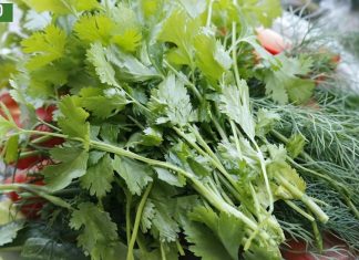 შედეგი გაგაოცებთ, მხოლოდ 1 ბუნებრივი ინგრედიენტით განიკურნებით,თირკმლები,ღვიძლი,თვალები და ბევრი ორგანოს მკურნალია.