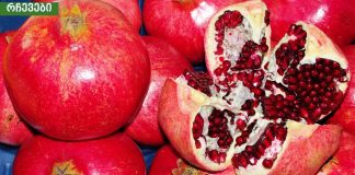 მეცნიერების ყველაზე მაგარი კვლევა – ბროწეული ებრძვის დაბერებას და აძლიერებს კუნთებს