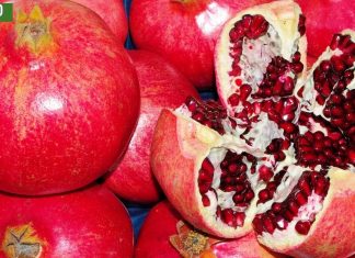 მეცნიერების ყველაზე მაგარი კვლევა – ბროწეული ებრძვის დაბერებას და აძლიერებს კუნთებს