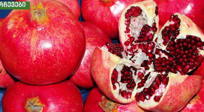 მეცნიერების ყველაზე მაგარი კვლევა – ბროწეული ებრძვის დაბერებას და აძლიერებს კუნთებს