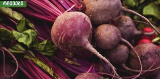 ჭარხლი თუ ესეთი სასარგებლო იქნებოდა არ მეგონა,ჭარხლის სარგებელი ნაწლავებისთვის.