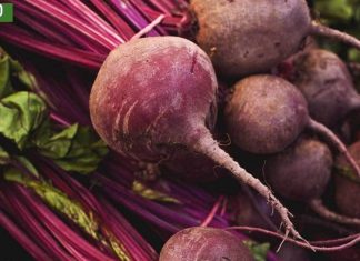 ჭარხლი თუ ესეთი სასარგებლო იქნებოდა არ მეგონა,ჭარხლის სარგებელი ნაწლავებისთვის.