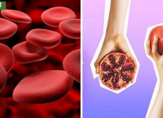 ყველაზე მეტად დაბალი ჰემოგლობინის მეშინია,მივაგენი მასთან გამკლავების საუკეთესო მეთოდებს.