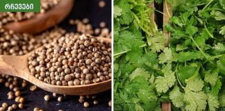 ქინძი მეგონა უბრალო მცენარე,ამდენი სასარგებლო თვისება თუ ექნებოდა არ მეგონა.