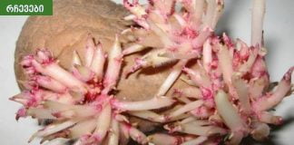 ჩემს ნათესავს დიდი ხნის განმავლობაში აწუხებდა მუხლის ტკივილი.უნიკალური რეცეპტი სახსრების აღდგენისთვის